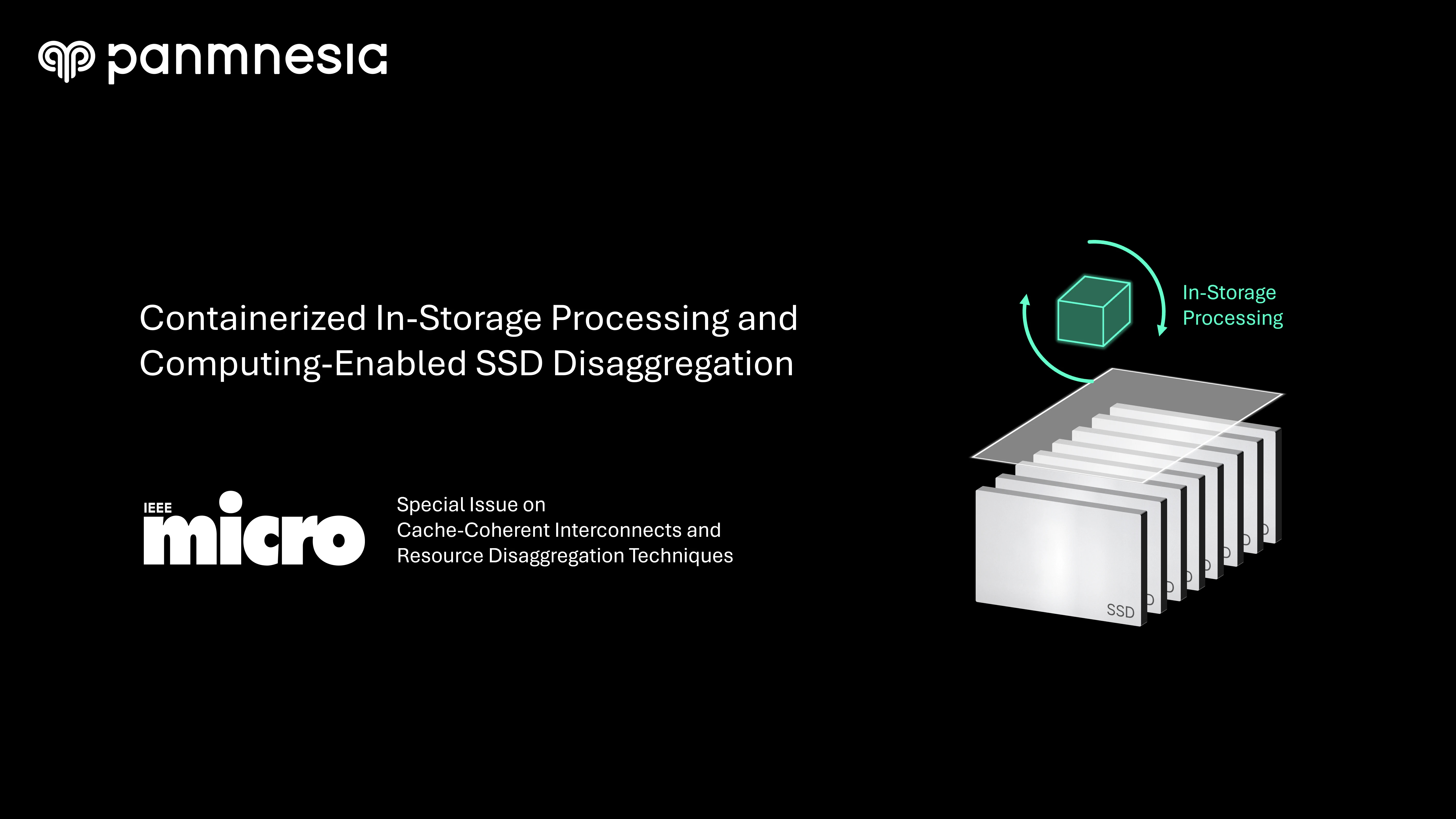 Containerized In-Storage Processing and Computing-Enabled SSD Disaggregation